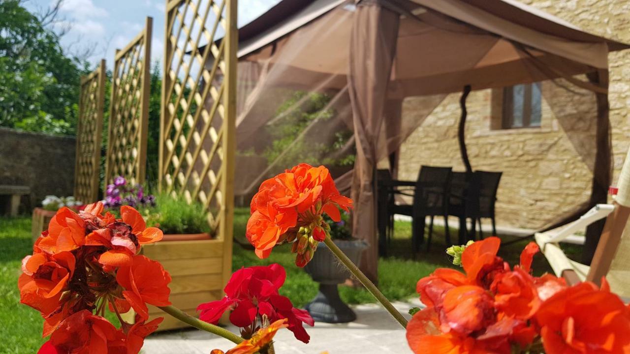 San Paterno B&B Rapolano Terme Kültér fotó
