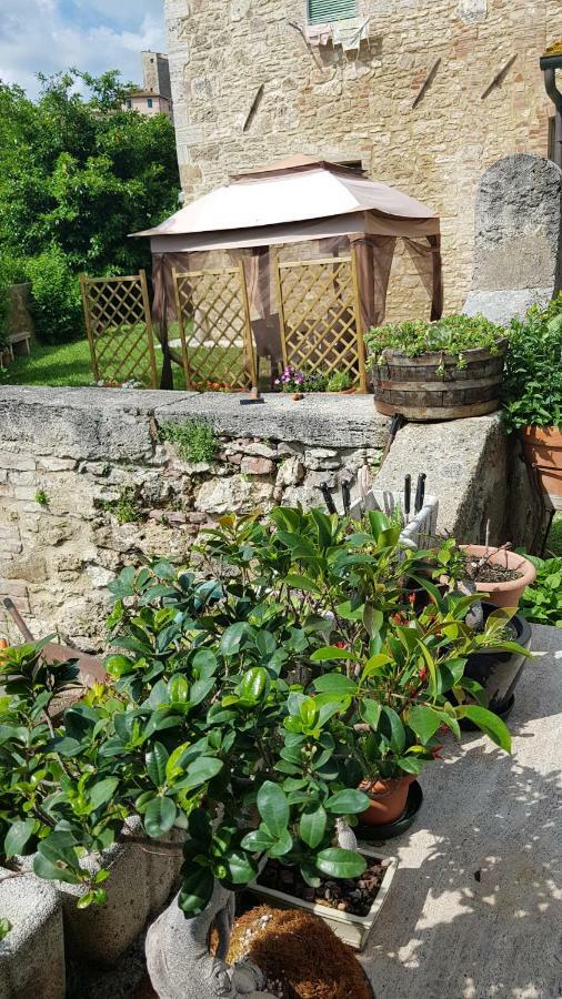 San Paterno B&B Rapolano Terme Kültér fotó