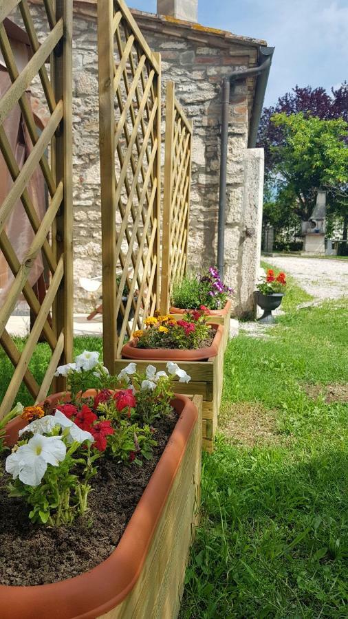 San Paterno B&B Rapolano Terme Kültér fotó