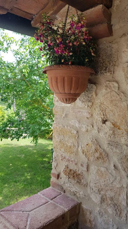 San Paterno B&B Rapolano Terme Kültér fotó